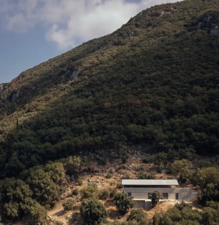House in an Olive Grove